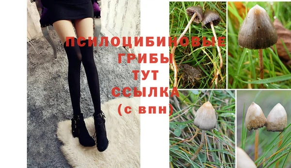 амфетамин Козловка