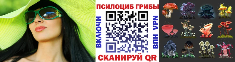 Галлюциногенные грибы мухоморы  Купить где  Клинцы 